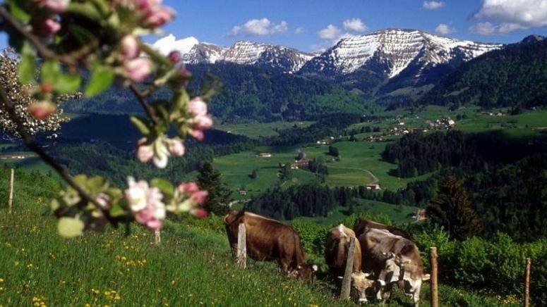 Fewo Alpenbrise, Oberstaufen Exterior foto